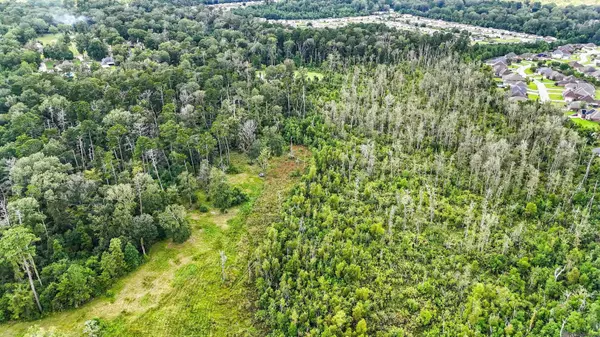 13261 Hammack Rd, Denham Springs, LA 70726