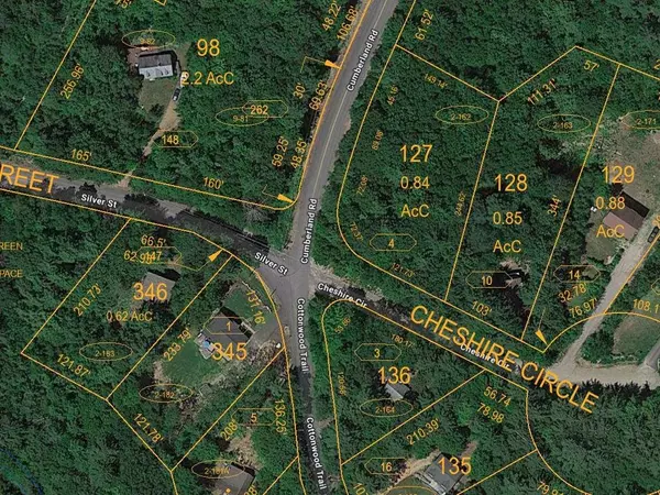 4 Cheshire CIR, Gilford, NH 03249