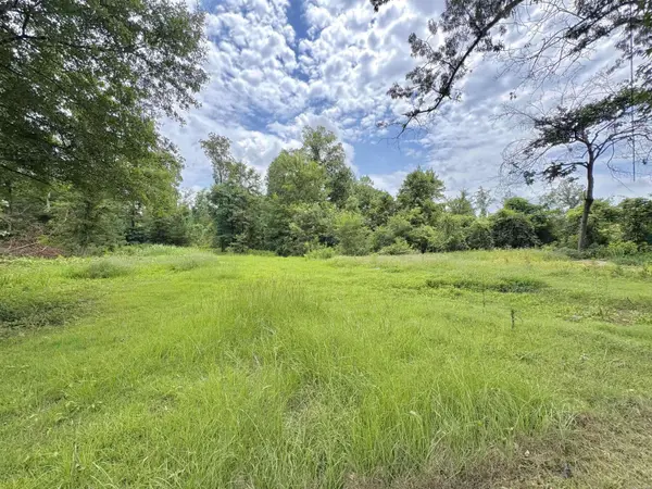 363 County Rd 142, Grapevine, AR 72057