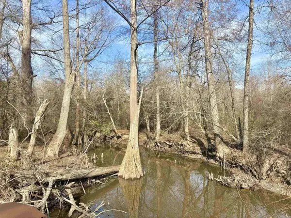 0 Brushy Creek Road, Rison, AR 71665