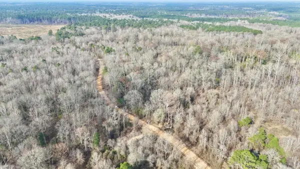 0 Brushy Creek Road, Rison, AR 71665
