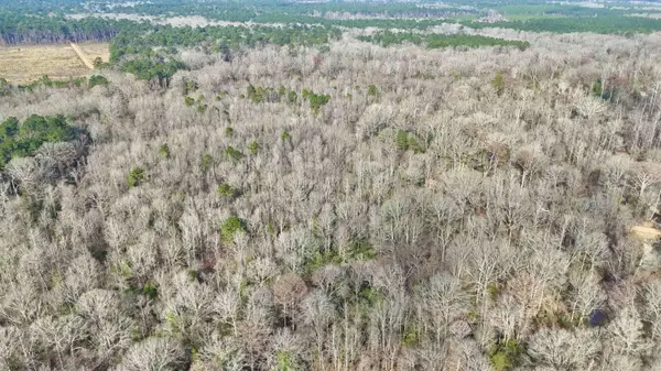 0 Brushy Creek Road, Rison, AR 71665