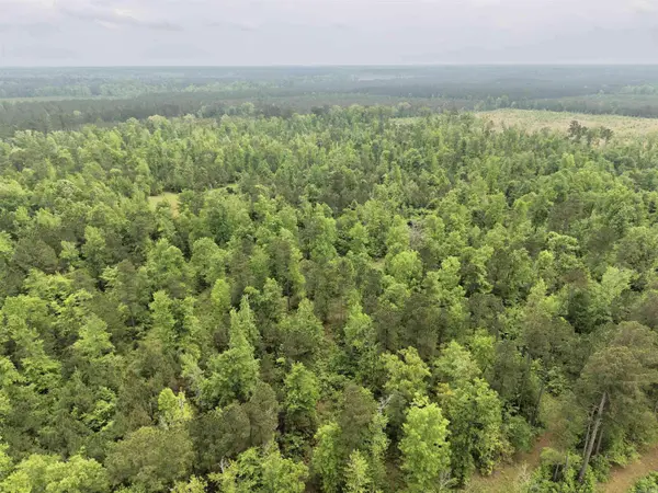 0 Grant County rd 16, Grapevine, AR 72057