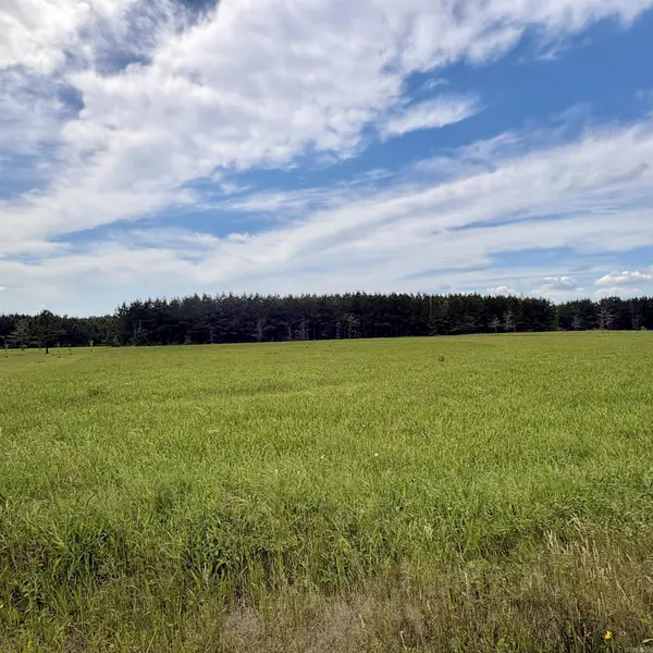 3785 Grant 9, Sheridan, AR 72150