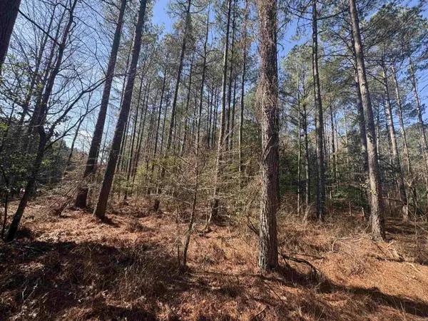 0 hwy 46 N, Sheridan, AR 72150