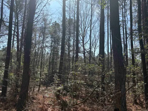 0 hwy 46 N, Sheridan, AR 72150