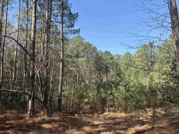 0 hwy 46 N, Sheridan, AR 72150