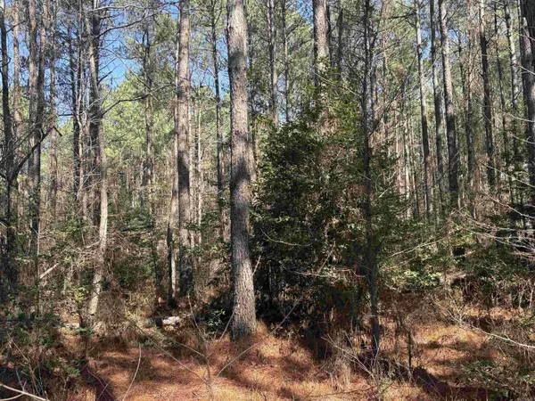 0 hwy 46 N, Sheridan, AR 72150