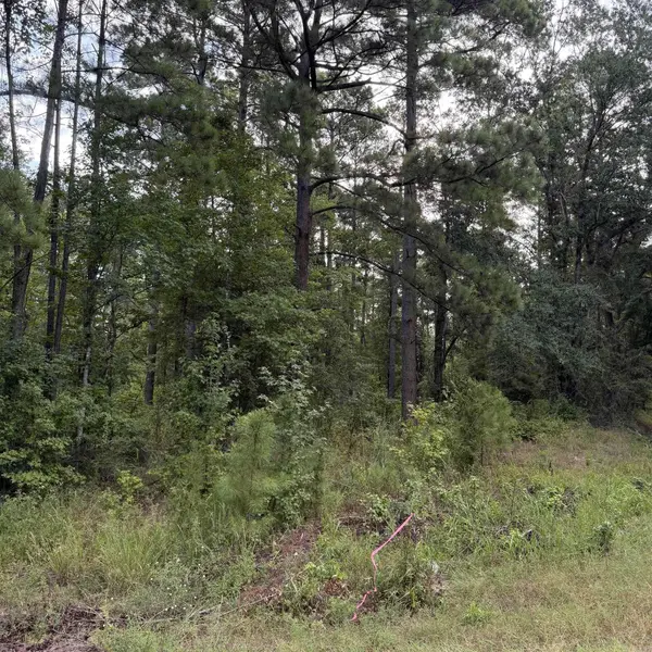 Lot 1 County Rd 8