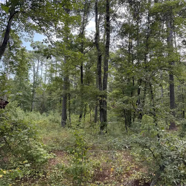 Lot 1 County Rd 8, Sheridan, AR 72150