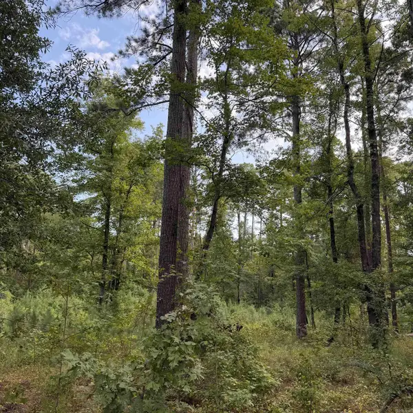 Lot 1 County Rd 8, Sheridan, AR 72150