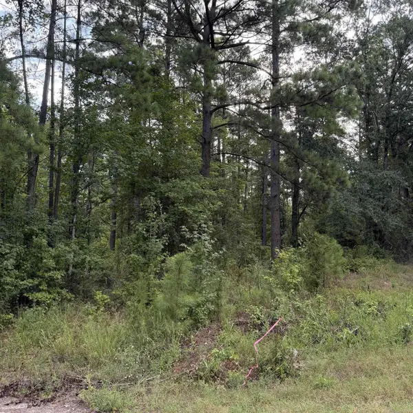 Lot 1 County Rd 8, Sheridan, AR 72150