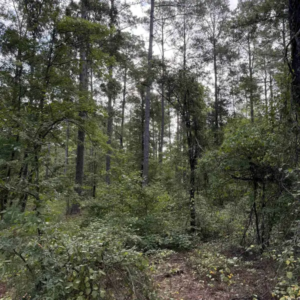 Lot 1 County Rd 8, Sheridan, AR 72150