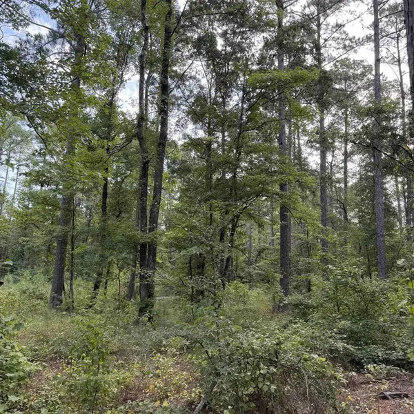 Lot 1 County Rd 8, Sheridan, AR 72150