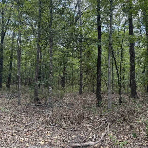10200 Grant 75, Sheridan, AR 72150