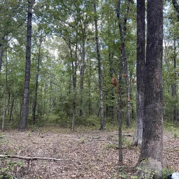 10200 Grant 75, Sheridan, AR 72150