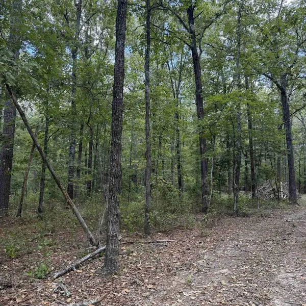 10200 Grant 75, Sheridan, AR 72150
