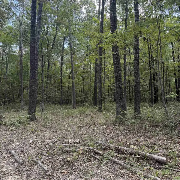 10200 Grant 75, Sheridan, AR 72150