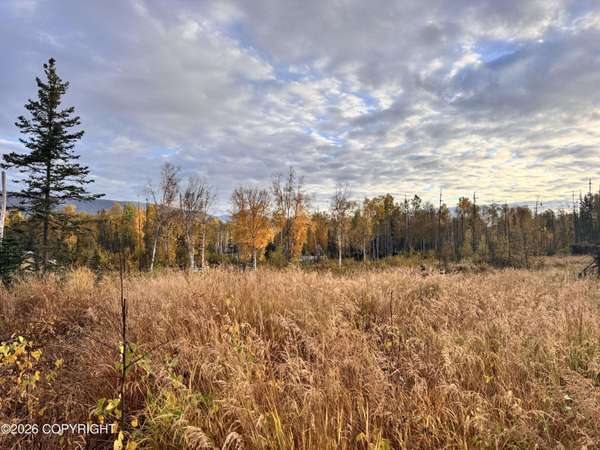 000 W Trumpeter Swan DR, Wasilla, AK 99654