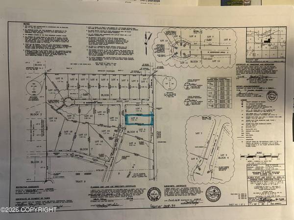 000 W Trumpeter Swan DR