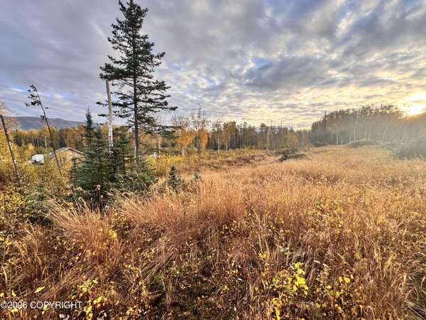 000 W Trumpeter Swan DR, Wasilla, AK 99654