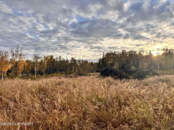 000 W Trumpeter Swan DR, Wasilla, AK 99654