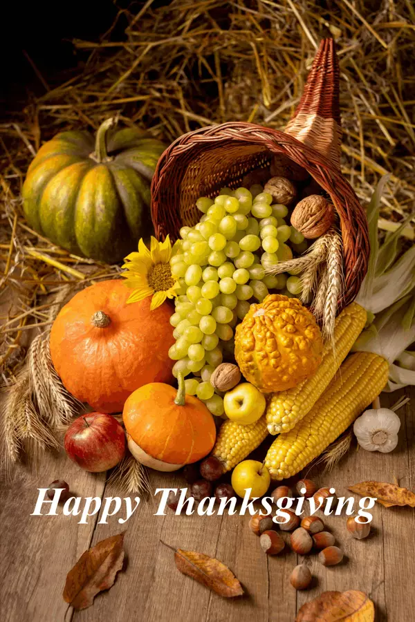 feature image of Grateful for Connections and Community