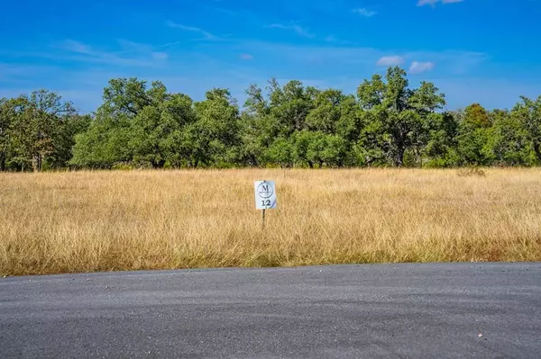 Lot 12 Other, Harper, TX 78631