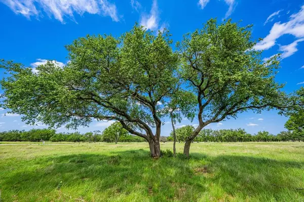 79 Stock Pond Dr, Harper, TX 78631