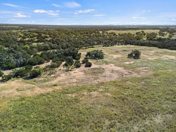 307 Gold-Schaefer Rd, Fredericksburg, TX 78624