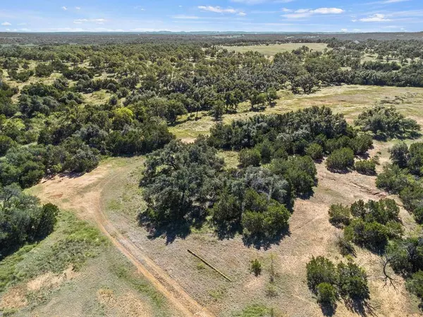307 Gold-Schaefer Rd, Fredericksburg, TX 78624