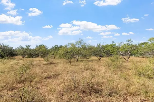 647 Funf Kinder Road, Fredericksburg, TX 78624