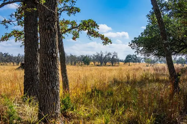 Lot 12 Turn Out Ln, Harper, TX 78631