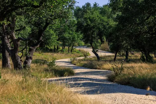 00 Ranch Rd 965, Fredericksburg, TX 78624