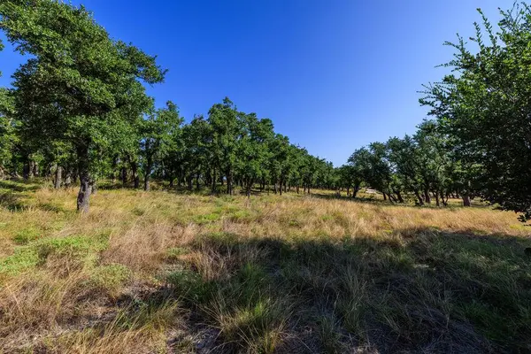 00 Ranch Rd 965, Fredericksburg, TX 78624