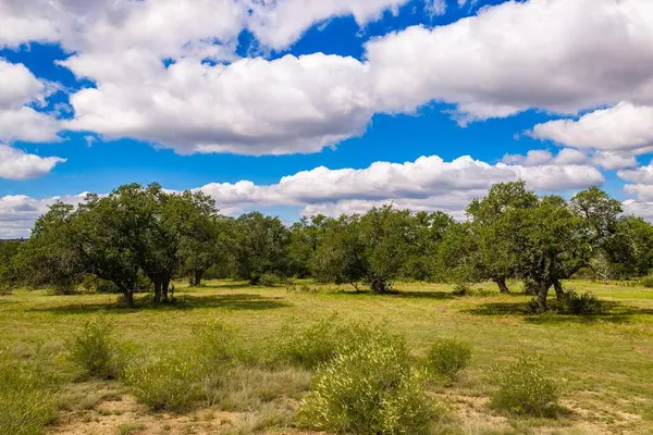 3145 Grape Creek Rd, Fredericksburg, TX 78624