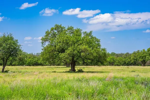 Lot 79 Stock Pond Dr, Harper, TX 78631