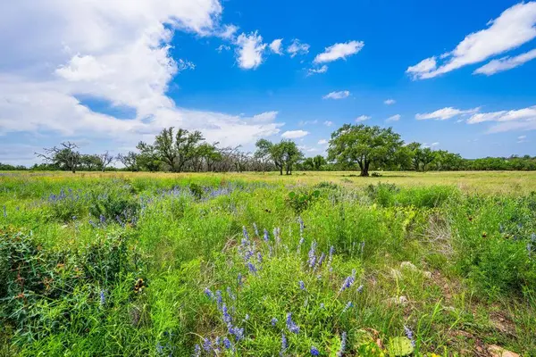 Lot 79 Stock Pond Dr, Harper, TX 78631