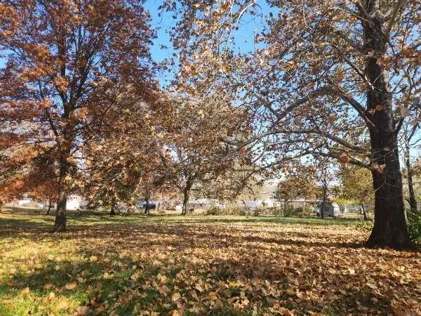 710 W Mason ST, Odessa, MO 64076