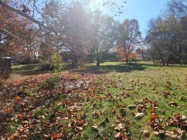 710 W Mason ST, Odessa, MO 64076