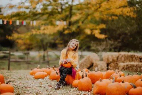 November in Simcoe County, Ontario: Community Events and Experiences You’ll Love