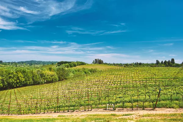 The Rise of the Micro Escape: How Locals Are Redefining the Weekend Getaway