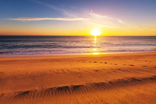 Sun, Sand & Simcoe: The Best Beaches in Simcoe County