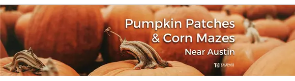 Pumpkin Patches & Corn Mazes Near Austin