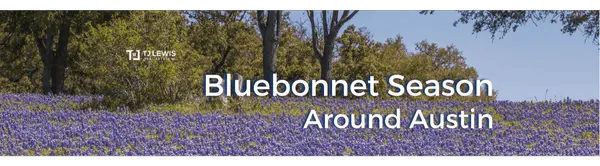 Bluebonnet Season Around Austin: Where to See the Blooms in 2026
