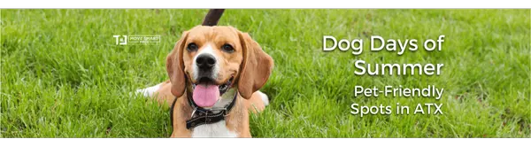 Dog Days of Summer: Top 10 Pet-Friendly Spots to Chill Out in ATX