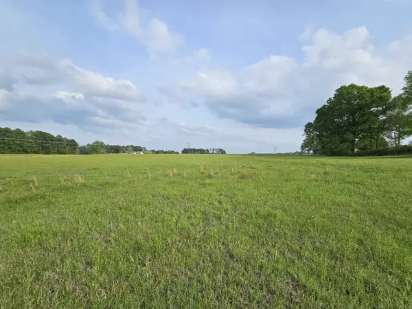 TBD County Rd 266, Beckville, TX 75631
