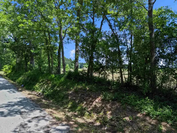 TBD County Rd 266, Beckville, TX 75631