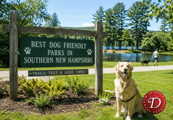 Top Dog-Friendly Parks in Middlesex County & Southern NH