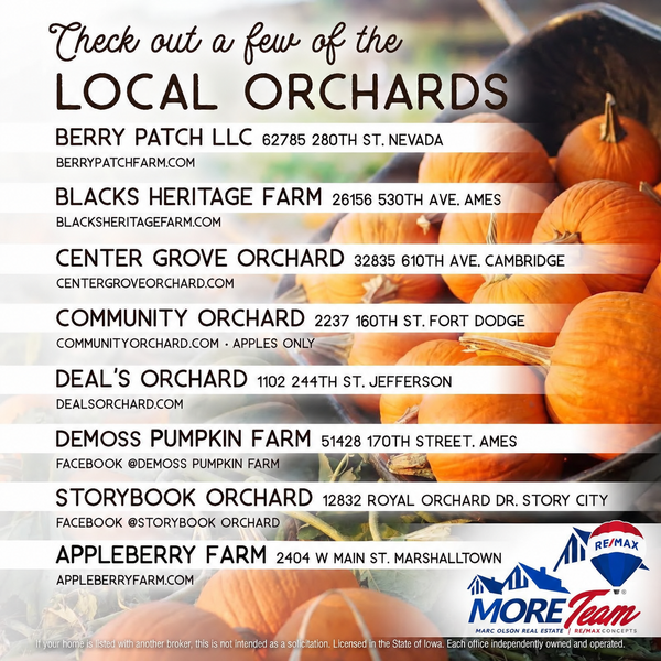 Fall Fun in Central Iowa: Explore These Local Orchards & Pumpkin Patches!